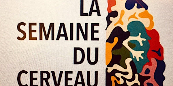 Semaine du cerveau 2019 - Cycle de conférences à l'ENS