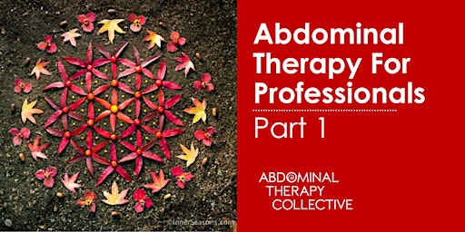 Imagem principal de Abdominal Therapy for Professionals 1, Corfu, Greece