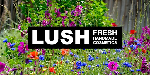 LUSH Dublin Henry Street - Flowerbomb Building & Make Your Own Bath Bomb! primary image