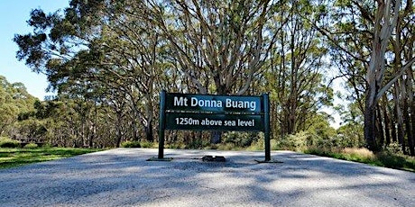 Donna Buang Free Kokoda Training Session 7 April 2024