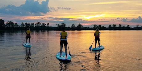 Solstice Social Paddle primary image