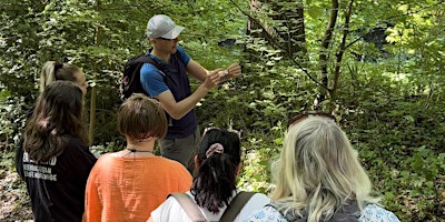 Full-Day Foraging Course, Huddersfield primary image