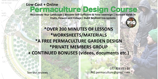 Image principale de Online Permaculture Introduction Course (PIG)