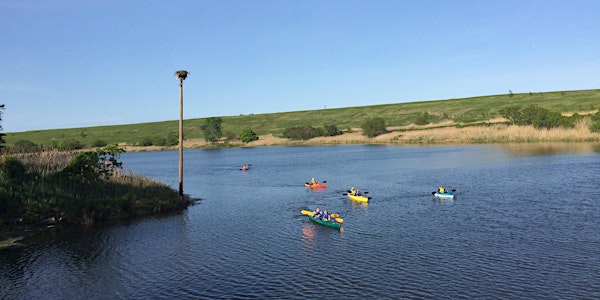 Kayak Tour