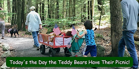 'Teddy Bears Picnic' Parade at Distant Hill Nature Trail