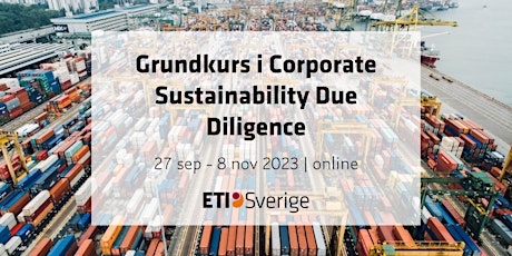 Grundkurs i corporate sustainability due diligence primary image