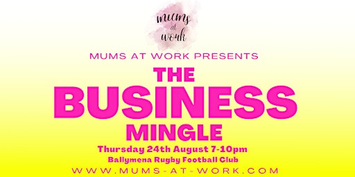 Ballymena Business Mingle Event primary image