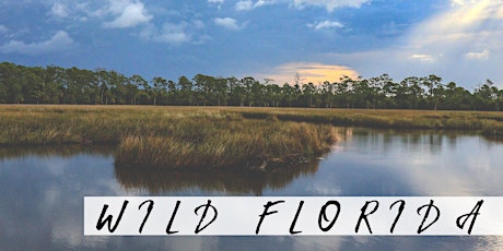 "Wild Florida" Photographer Registration primary image