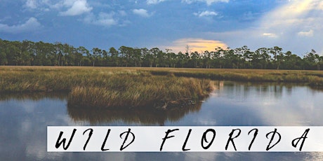 "Wild Florida" Photography Exhibit Workshop primary image