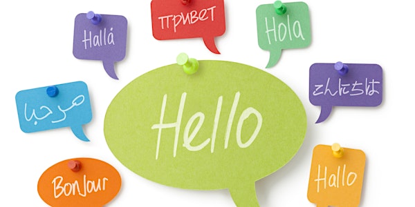 Do you speak English? - Accessing Interpreter Service Provision in Public S...