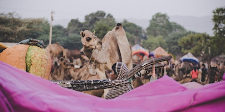 LIDC-SOAS Careers Networking Night: How to Get into International Development primary image