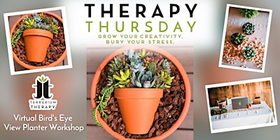 At Home with Terrarium Therapy Series- Bird’s Eye View Planter Workshop primary image