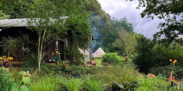 May Mindfulness and Qigong Nature Immersion retreat in Dedham Vale AONB