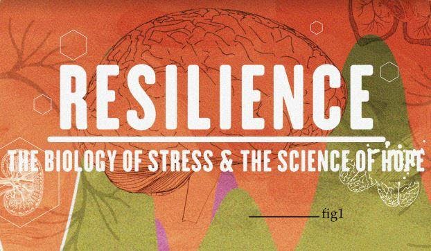 RESILIENCE SCREENING AND COMMUNITY CONVERSATION