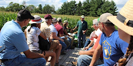 Imagem principal de MFAI Emerging Crops for Soil Health - Field Day