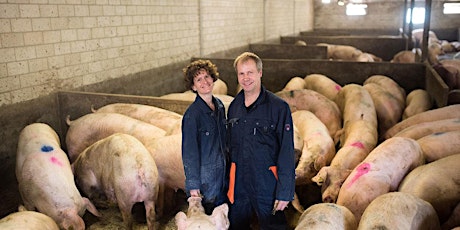 Primaire afbeelding van Boerderijbezoek VARKENSFOKBEDRIJF BEERENS B.V.