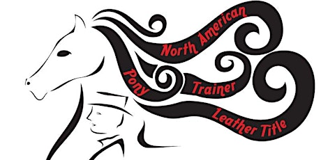 North American Pony/Trainer 2019 - 20, a Leather Title Contest