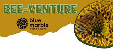 Hauptbild für Bee-venture