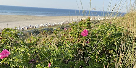 Spiekeroog Dünen am Meer/ Bildungsurlaub mit Vollpension/ Work-Life-Design