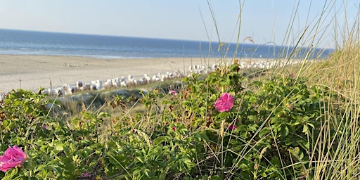 Imagem principal de Spiekeroog Dünen am Meer/Bildungsurlaub mit Vollpension/ Work-Life-Design