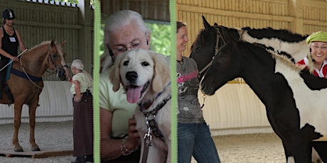 Hauptbild für Linda Tellington-Jones: Exklusives Seminar für Pferde und Hunde, Sonntag
