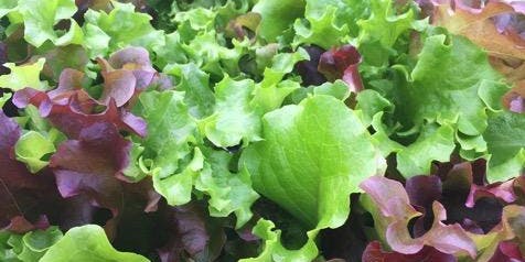 atlanta ga farmer markets