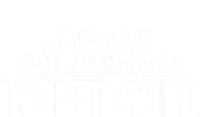 Primaire afbeelding van De Nieuwe Wildernis in het Wild @ 'Bataviaplein ' (Lelystad)