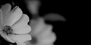 Image principale de Energy Coaching Mini Session for Managing Money Karma