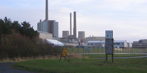 Diamonds for nuclear decommissioning