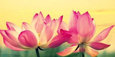 RITIRO BREVE DI MINDFULNESS RITIRO BREVE DI MINDFULNESS