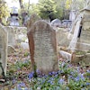 Friends of West Norwood Cemetery's Logo
