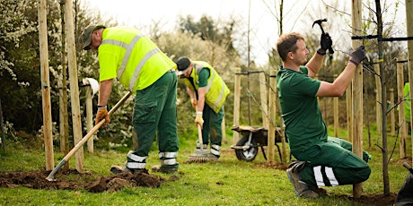 Volunteer session: Community Tree Orchard maintenance at Efford Marsh primary image