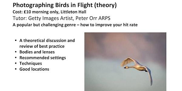 WPS Training: Photographing Birds in Flight (Theory)
