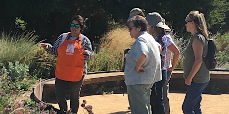 Create a Garden that Pops for Pollinators: Learn & Shop Class at the UC Davis Arboretum  primary image