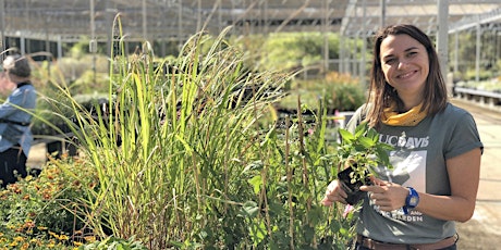 Growing Great Herbs and Veggies: Learn & Shop Class at the UC Davis Arboretum  primary image