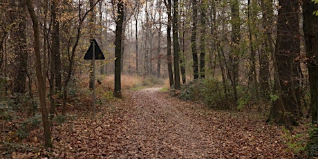 Trekking del Parco delle Groane: Da Rho Fiera a Limbiate Mombello.  primärbild