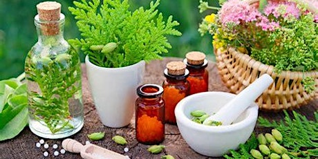 Homeopathy Physical, Emotional, Spiritual – Basic  primärbild