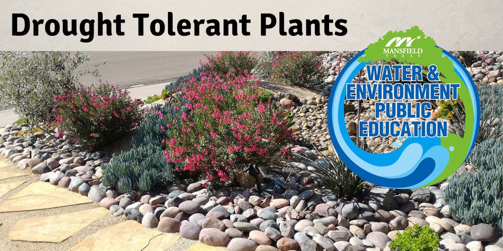 drought tolerant plants tickets