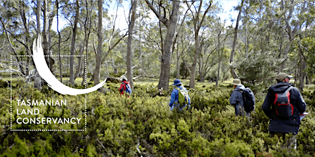 Five Rivers Reserve and Central Highlands Weeding | January - February 2019 primary image