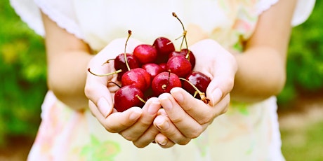 Melbourne Cherry Picking Event primary image