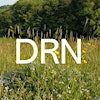 Logótipo de Devon Rewilding Network
