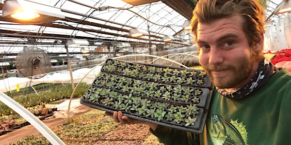 DIY TERRARIUM