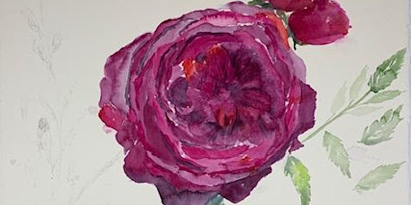 Floral Watercolor Workshop: Deep Red English Rose with Michelle Montes primary image