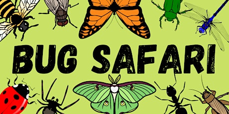 Imagen principal de Bug Safari at Fanshawe Conservation Area