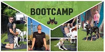 District Dogs BarkFit Boot Camp