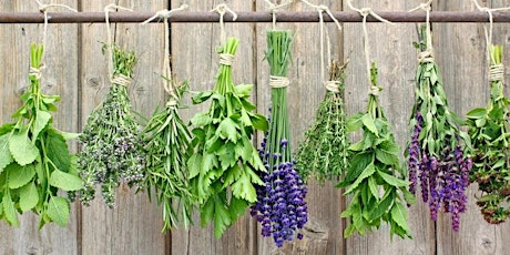 Hauptbild für Herbal Gardening part 2