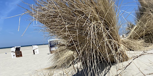 Hauptbild für Spiekeroog Dünen am Meer/Bildungsurlaub mit Vollpension/ Work-Life-Design