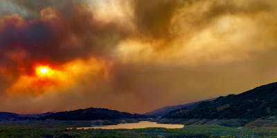 Level 2: Turning Conflict into Creativity in Bay area California