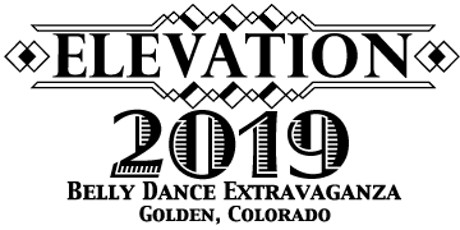 Will YOU work for dance? Elevation 2019 primary image
