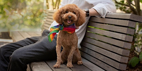 RESCHEDULED: Manhattan West Woof Fest: Paws for Pride primary image